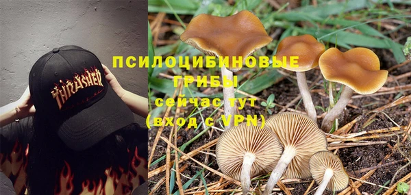 марки lsd Абинск