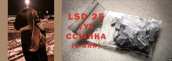 прущие грибы Абаза