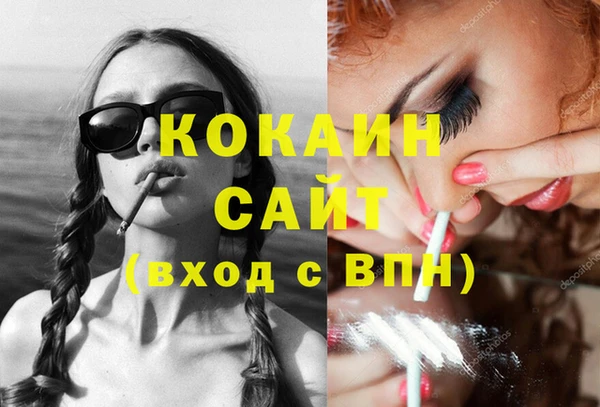 прущие грибы Абаза