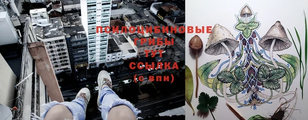 марки lsd Абинск