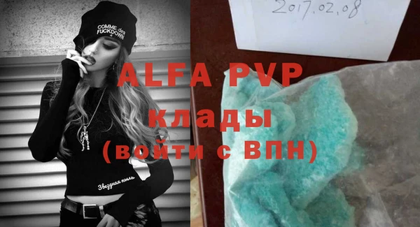 прущие грибы Абаза