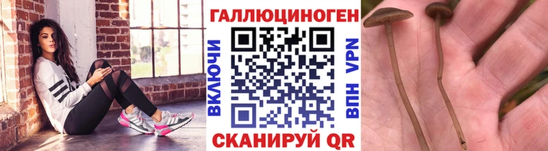 сколько стоит  дарк нет наркотические препараты  Галлюциногенные грибы ЛСД  Пойковский 